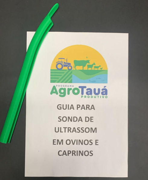 Guia para Sonda de Ultrassom em Ovinos e Caprinos